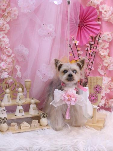 20250307ココちゃん